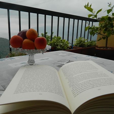 Lago Maggiore Holiday House, Lake View, Vignone Dumenza Bagian luar foto